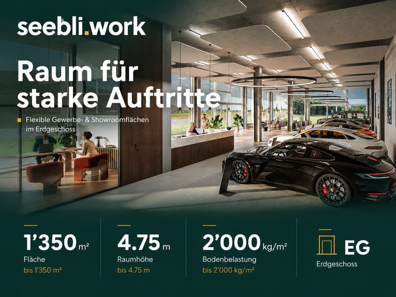 Auto-Showroomfläche im EG mit Anlieferung & Gewerbeteil – bis 1’350 m² (1)
