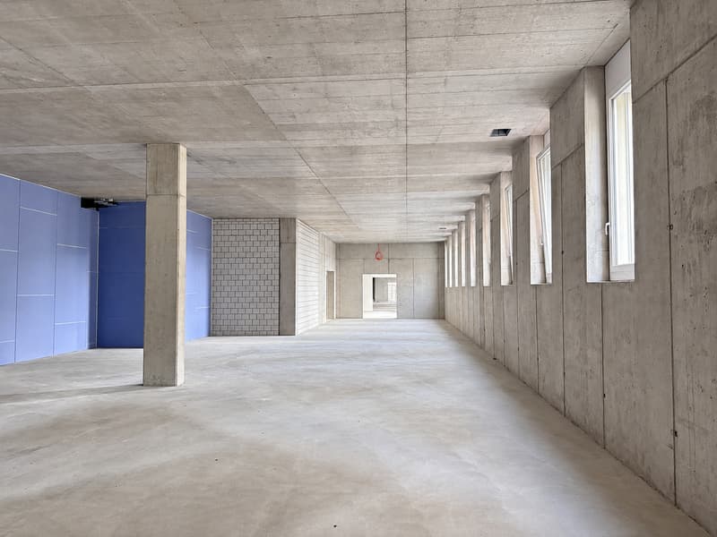240 m² für Ihre Tierarztpraxis – im Zelgli-Work in Staufen bei Lenzburg (2)