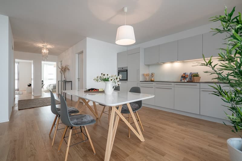 Moderne 4.5-Zimmerwohnung zu vermieten (6)