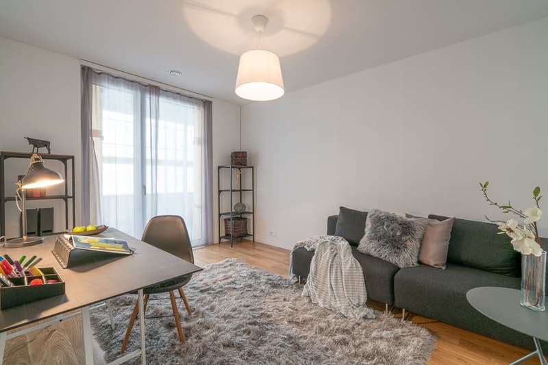 Moderne 4.5-Zimmerwohnung zu vermieten (5)