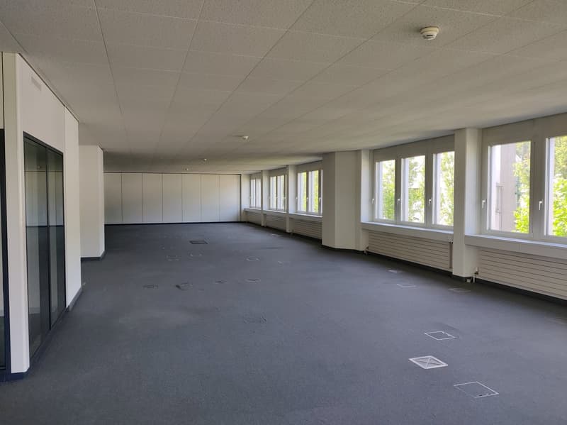 Large open office space with gray carpeted floor, white walls, and large windows providing natural light. The space appears to be empty and ready for use.