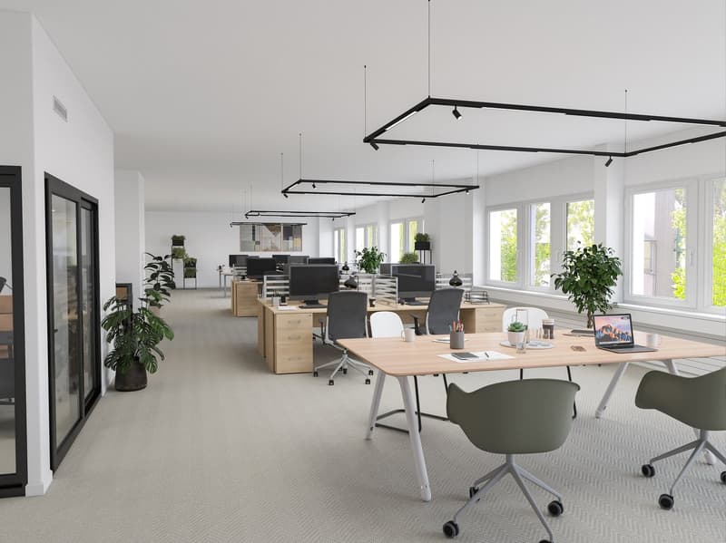 Spacious open-plan office with modern, minimalist design. Large windows provide natural light, and the space is furnished with wooden desks, black office chairs, and hanging light fixtures. Plants and decor elements add a touch of greenery and warmth to t