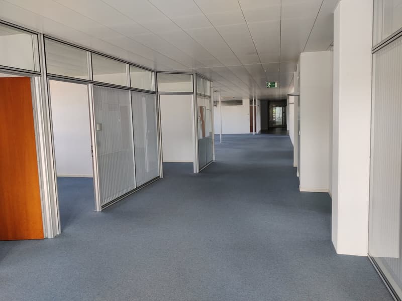 The image shows a long, empty hallway with gray carpeted floors and white walls. The hallway has glass partitions on one side, allowing natural light to enter. There are several doors leading to different rooms or offices along the hallway. The ceiling is