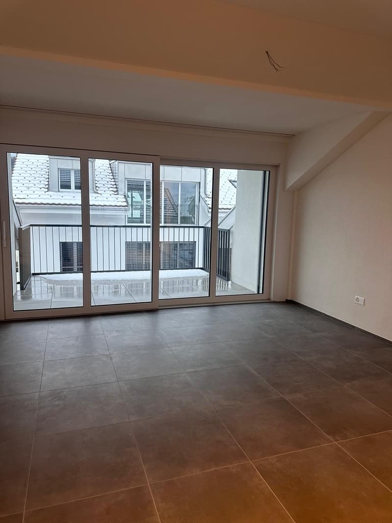 Schöne neue 4.5-Zimmer-Dachwohnungen zu vermieten (2)