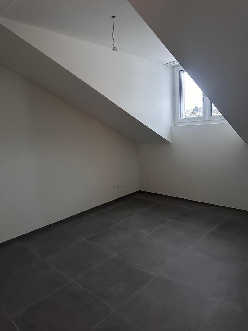 Schöne neue 4.5-Zimmer-Dachwohnungen zu vermieten (4)