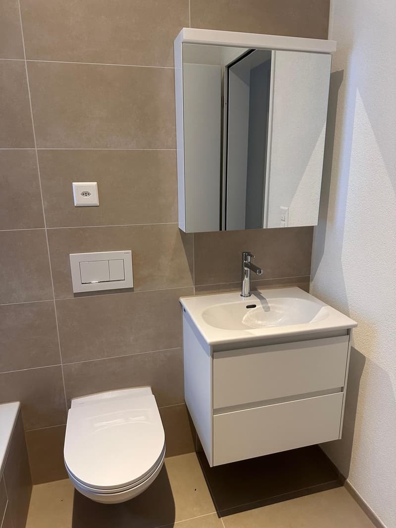 Schöne neue 4.5-Zimmer-Dachwohnungen zu vermieten (7)
