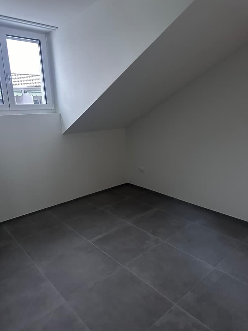 Schöne neue 4.5-Zimmer-Dachwohnungen zu vermieten (10)