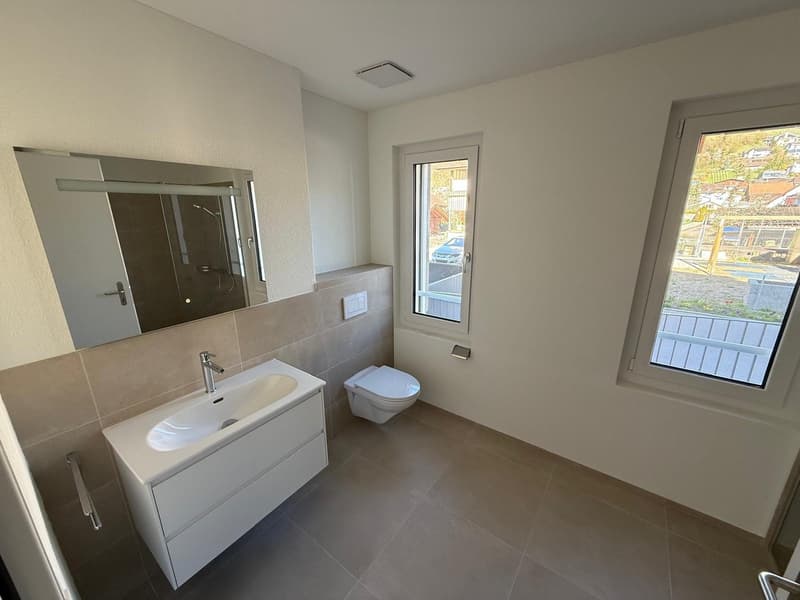 Beautiful affordable 3.5-room apartments on the ground floor for rent (8)