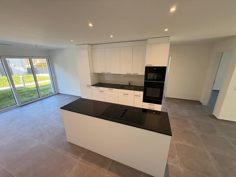 Beautiful affordable 3.5-room apartments on the ground floor for rent (2)