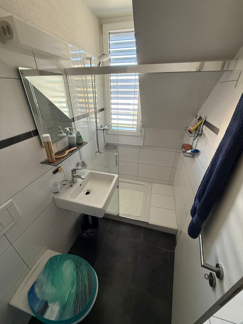 Appartement en duplex de 4,5 pièces avec jardin d'hiver, stockage en comble et espaces extérieurs spacieux (9)