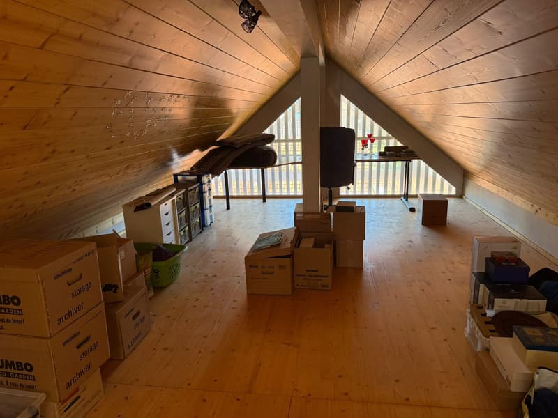 Appartement en duplex de 4,5 pièces avec jardin d'hiver, stockage en comble et espaces extérieurs spacieux (13)