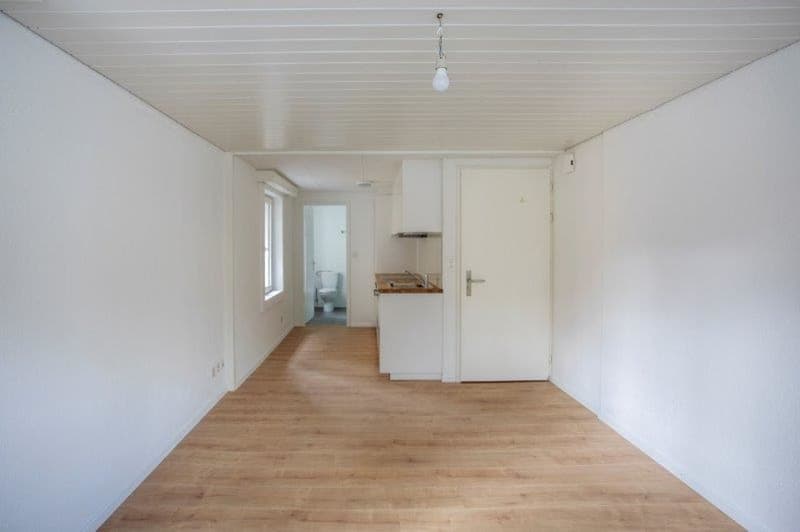 1.5-Zimmerwohnung, Wilerstrasse 35, 9630 Wattwil (3)