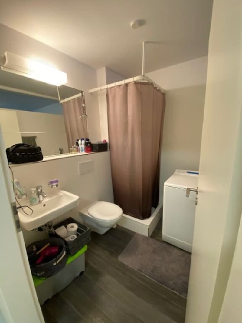 Schönes 1-Zimmer-Loft zu vermieten (5)