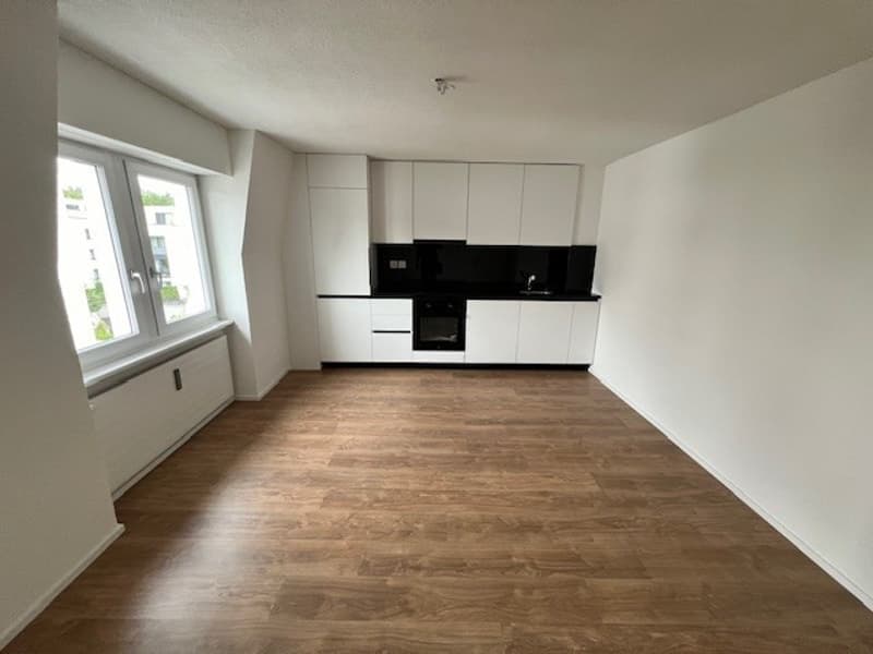 Schöne neu sanierte 2-Zimmer-Wohnungen zu vermieten (2)