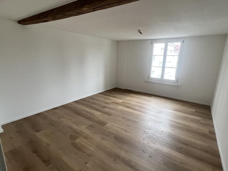 Erster Mietzins geschenkt: Neu sanierte 3.5-Zimmerwohnung zu vermieten (4)