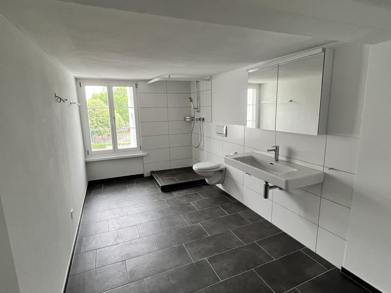 Erster Mietzins geschenkt: Neu sanierte 3.5-Zimmerwohnung zu vermieten (3)