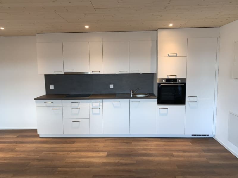 Schönes Loft mit Galerie zu vermieten (4)