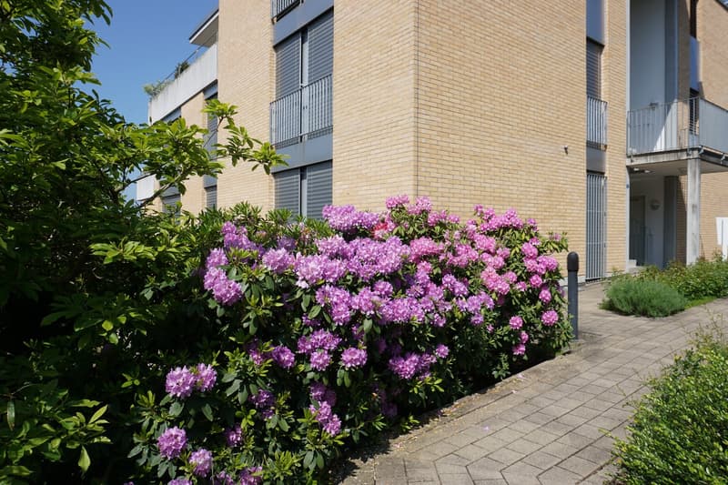 4.5 Zimmer Gartenwohnung an erhöhter und ruhiger Lage (8)