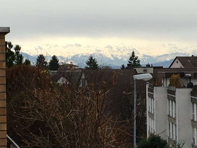 Terrassenwohnung an erhöhter und ruhiger Wohnlage (8)