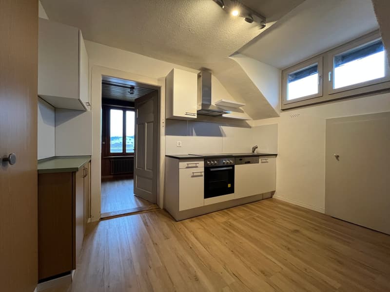 Grosse 2.5-Zimmer-Dachwohnung (ohne Balkon) mit kleinem Gartenabteil (1)