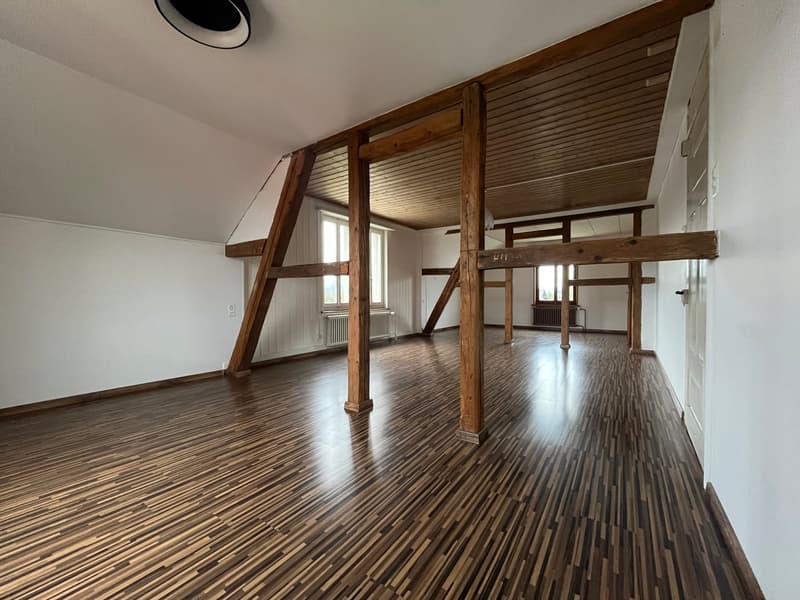 Grosse 2.5-Zimmer-Dachwohnung (ohne Balkon) mit kleinem Gartenabteil (5)