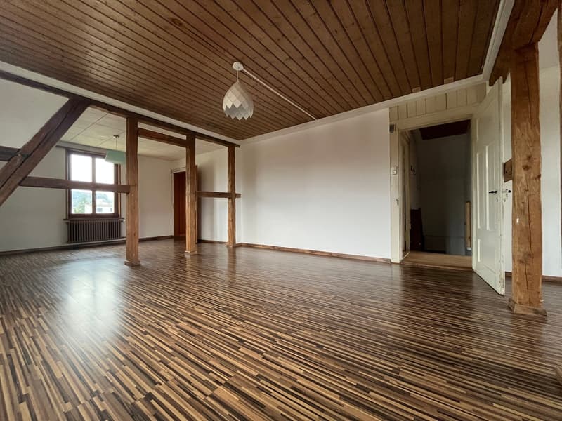 Grosse 2.5-Zimmer-Dachwohnung (ohne Balkon) mit kleinem Gartenabteil (3)