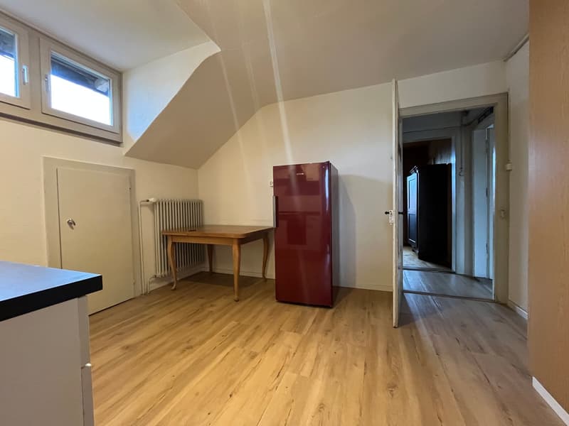 Grosse 2.5-Zimmer-Dachwohnung (ohne Balkon) mit kleinem Gartenabteil (2)