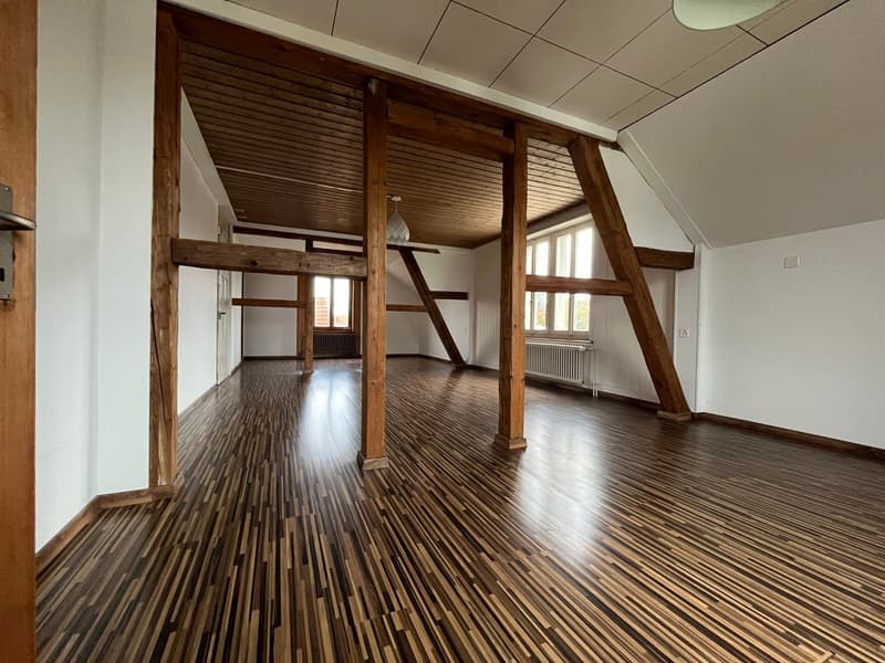 Grosse 2.5-Zimmer-Dachwohnung (ohne Balkon) mit kleinem Gartenabteil (6)