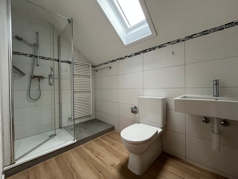 Grosse 2.5-Zimmer-Dachwohnung (ohne Balkon) mit kleinem Gartenabteil (8)