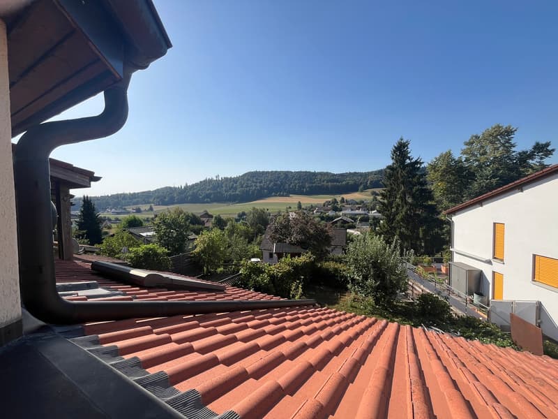 Charmantes 5.5-Zimmer-Reihenhaus in Safenwil – sofort verfügbar (15)