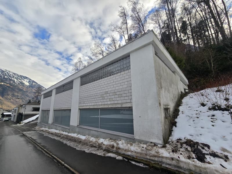 white industrial building, large windows, snowy mountain in the background