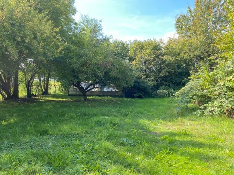 Bauland in ruhiger Lage – Grüttstrasse 5, Obergerlafingen (6)