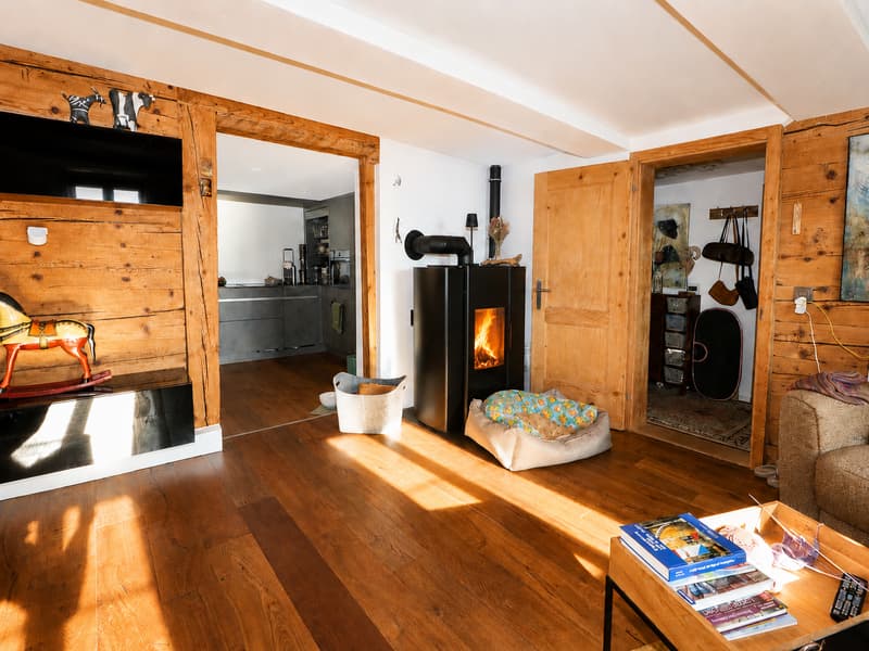 Schwedenofen für die Gemütlichkeit im Winter