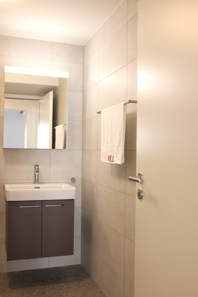 Charmante 3.5-Zimmer-Erdgeschosswohnung in Schinznach (9)