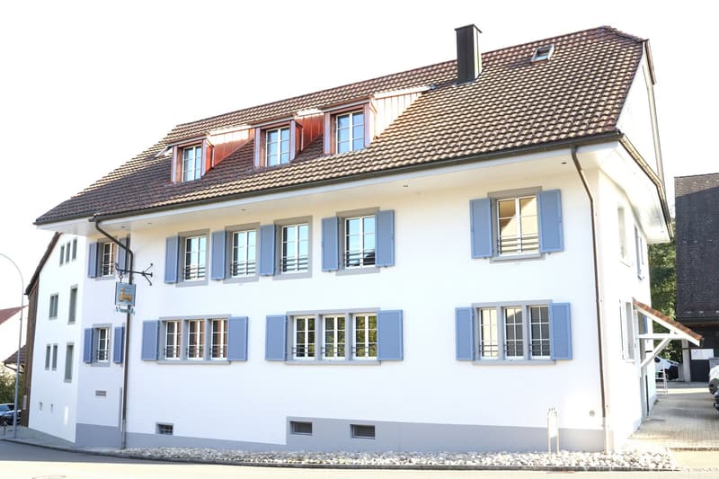 Charmante 3.5-Zimmer-Erdgeschosswohnung in Schinznach (15)