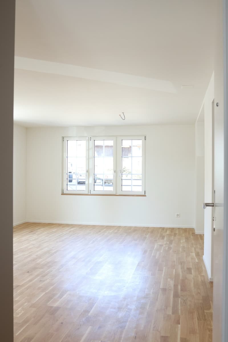 Charmante 3.5-Zimmer-Erdgeschosswohnung in Schinznach (3)