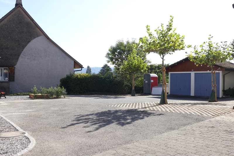 Charmante 3.5-Zimmer-Erdgeschosswohnung in Schinznach (16)