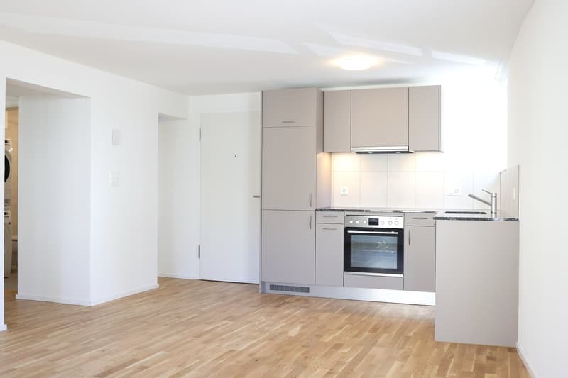Charmante 3.5-Zimmer-Erdgeschosswohnung in Schinznach (6)