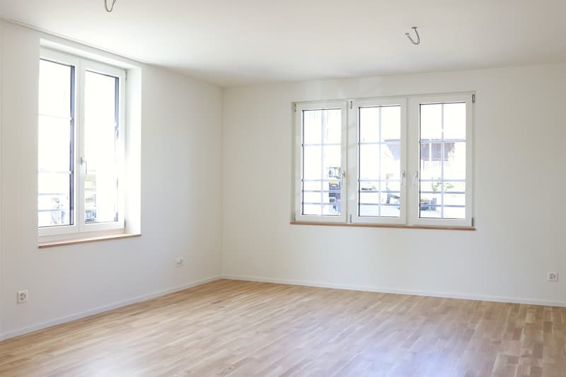 Charmante 3.5-Zimmer-Erdgeschosswohnung in Schinznach (4)