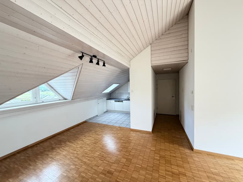 Charmante 2.5-Zimmer-Dachwohnung mit sonniger Aussicht (4)