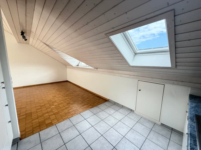 Charmante 2.5-Zimmer-Dachwohnung mit sonniger Aussicht (5)