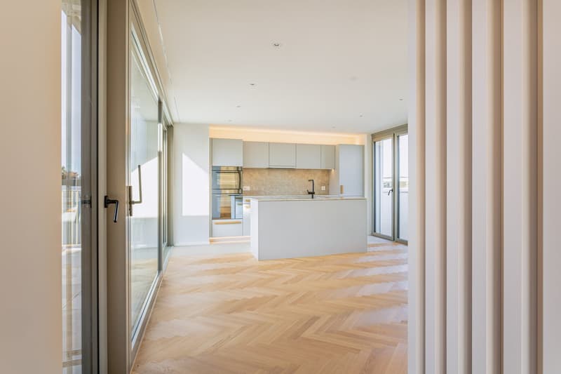 2.5 Zimmer Attika-Wohnung Erstbezug (4)