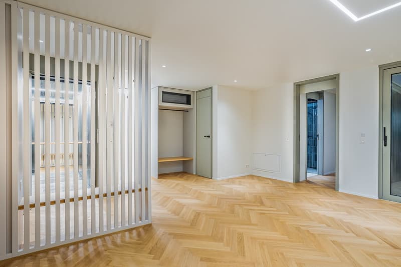 2.5 Zimmer Attika-Wohnung Erstbezug (2)