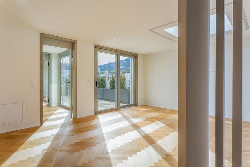 2.5 Zimmer Attika-Wohnung Erstbezug (3)