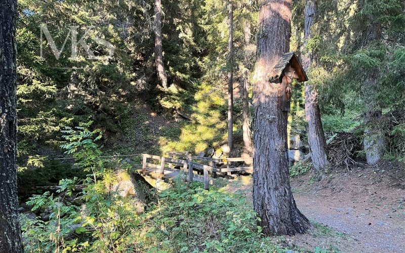 Waldweg
