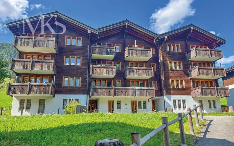 Sonnige 2.5 Zimmer Wohnung im Goms mit herrlicher Aussicht (2)