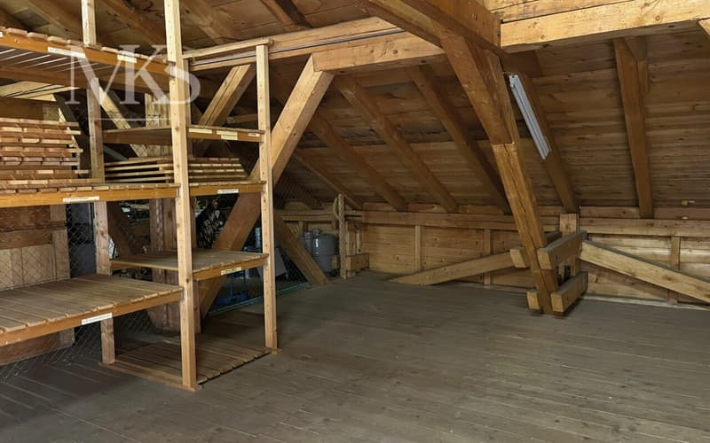 Lagerhalle zu mieten (5)