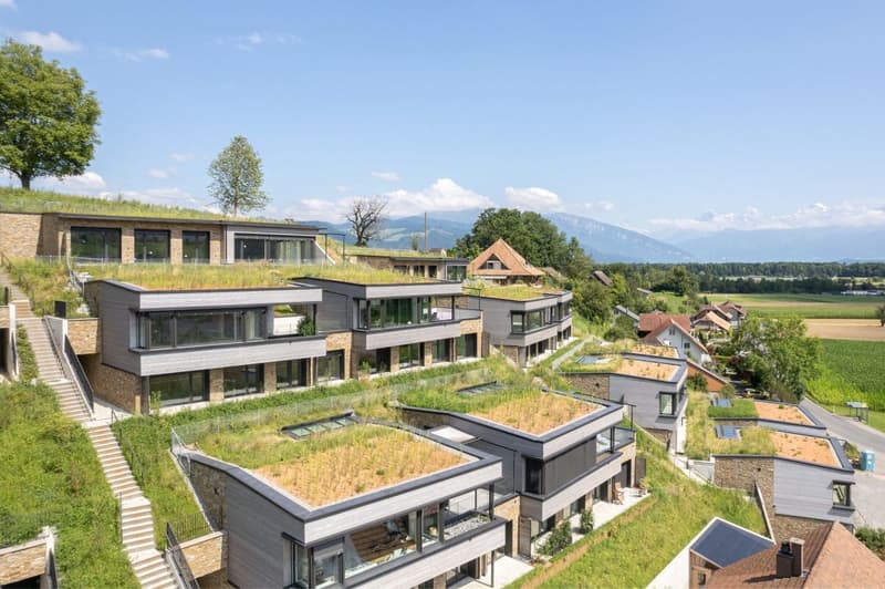 RÄBBERG - HABITAT AVEC VUE PANORAMIQUE (16)