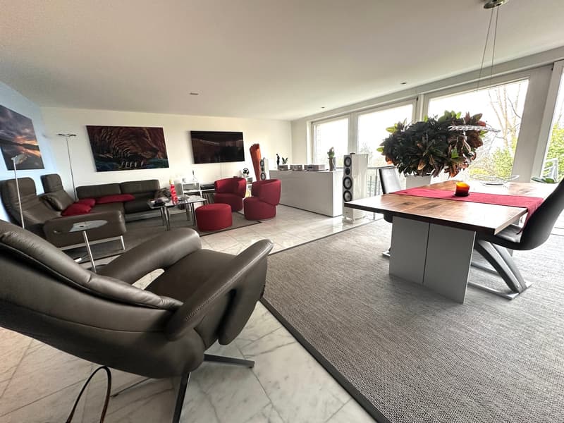 Appartement maisonnette élégant et spacieux de 6,5 pièces avec vue sur Basel (4)