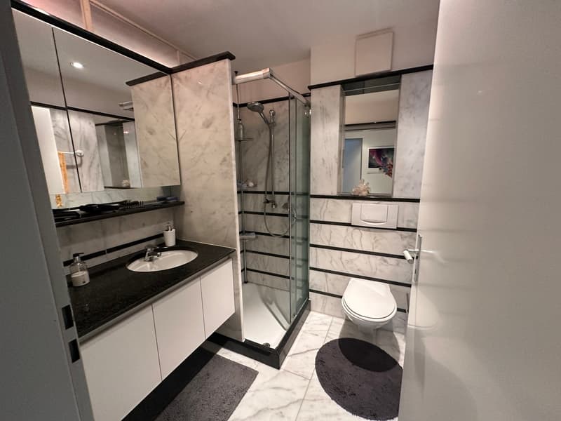 Appartement maisonnette élégant et spacieux de 6,5 pièces avec vue sur Basel (6)